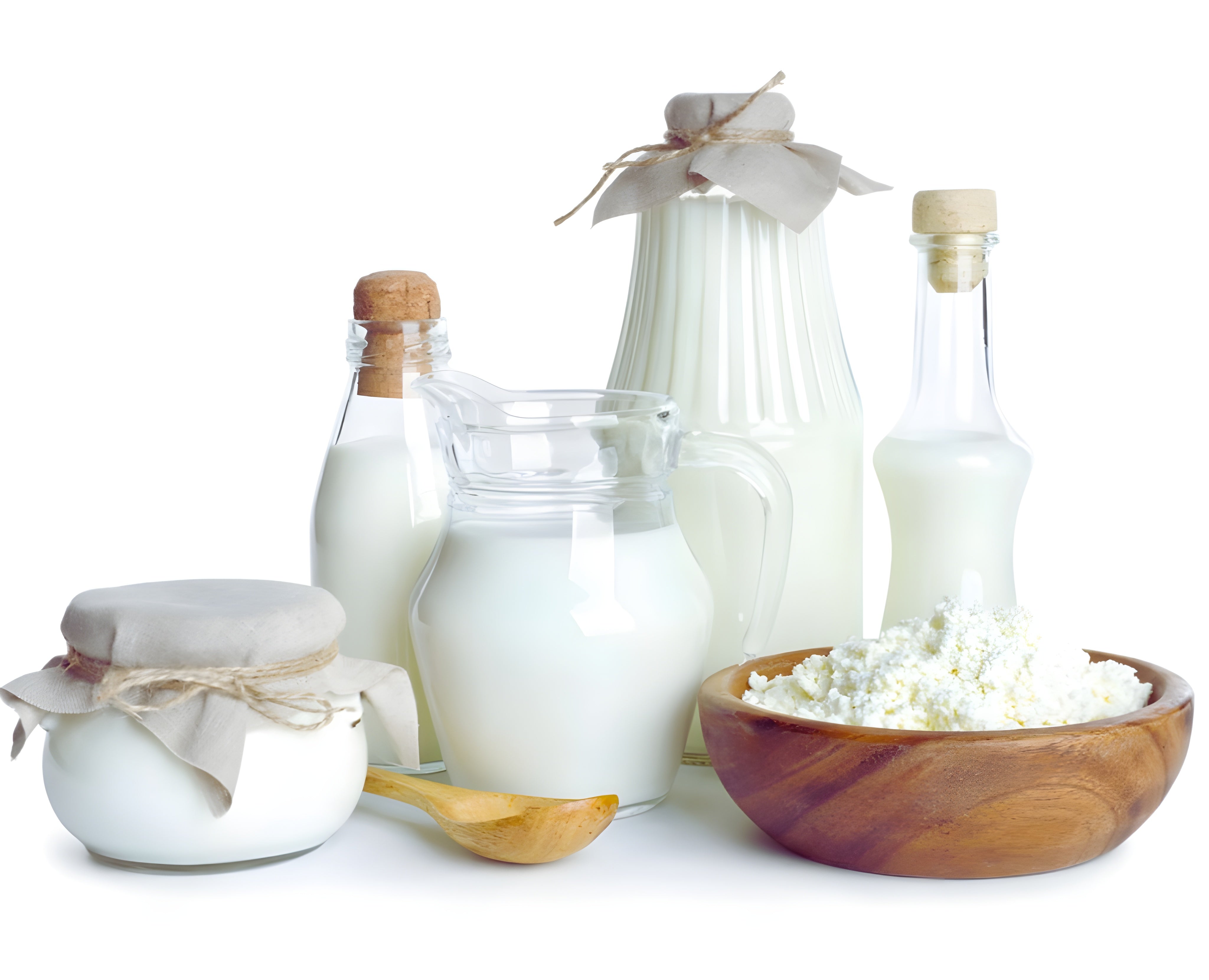 Probiotic Wellness